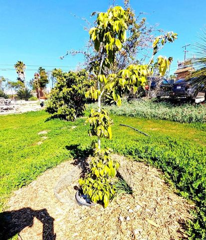 6951 W Lilac Road, Bonsall, CA 92003