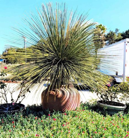 6951 W Lilac Road, Bonsall, CA 92003