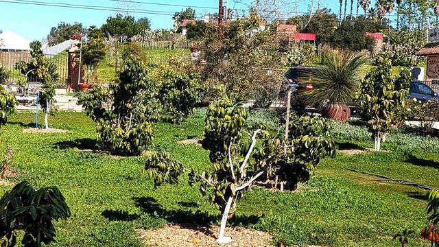 6951 W Lilac Road, Bonsall, CA 92003