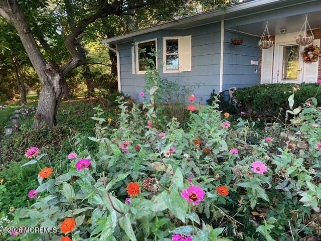 4 Denise Court, Somerset, NJ 08873