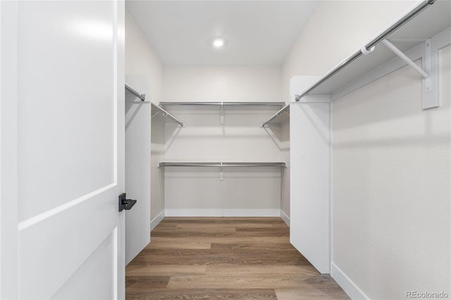 11133 Tenor Trail, Lone Tree, CO 80134