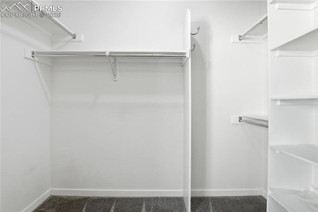 2835 Elm Meadow View, Colorado Springs, CO 80907