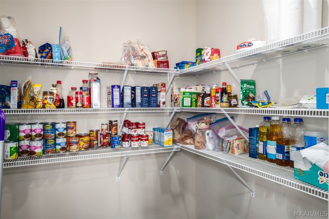 466 Sage Brook, Pike Road, AL 36064