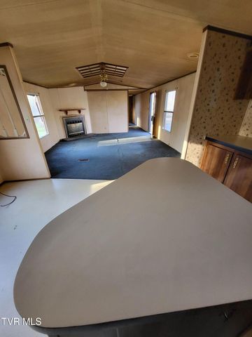 176 Hallborough Drive, Jonesborough, TN 37659