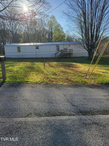 176 Hallborough Drive, Jonesborough, TN 37659