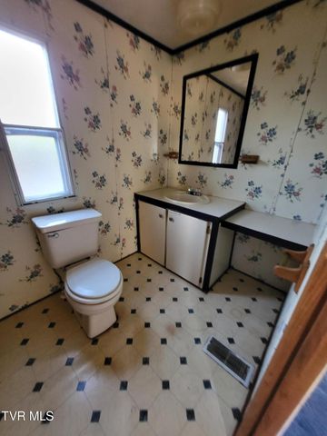 176 Hallborough Drive, Jonesborough, TN 37659