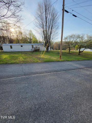 176 Hallborough Drive, Jonesborough, TN 37659