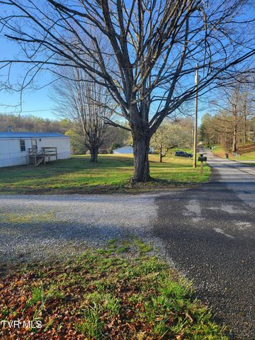 176 Hallborough Drive, Jonesborough, TN 37659