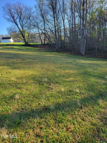 176 Hallborough Drive, Jonesborough, TN 37659