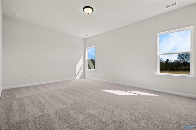 221 Roman Randall Road, New Market, AL 35761