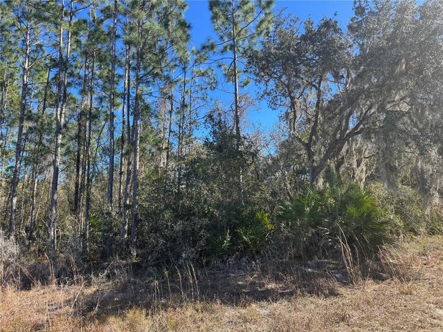 GRACE AVENUE, Deland, FL 32720