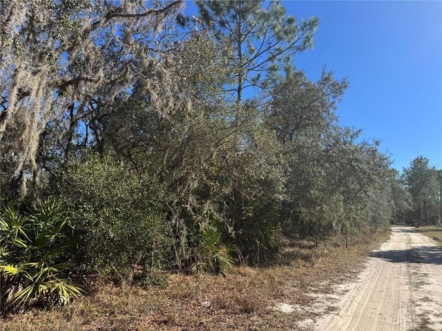 GRACE AVENUE, Deland, FL 32720