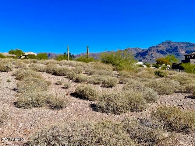5173 S GOLD CANYON Drive 4, Gold Canyon, AZ 85118