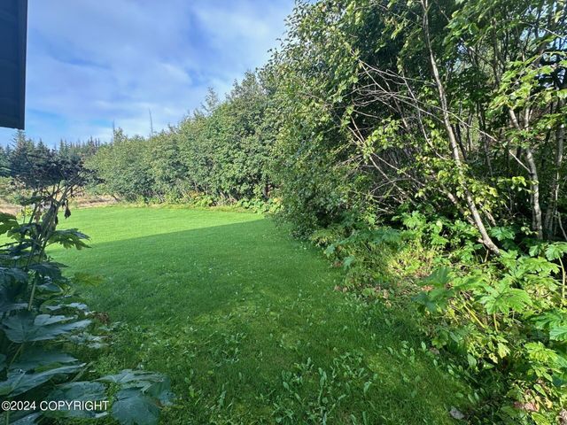 32925 Voznesenka Road, Homer, AK 99603