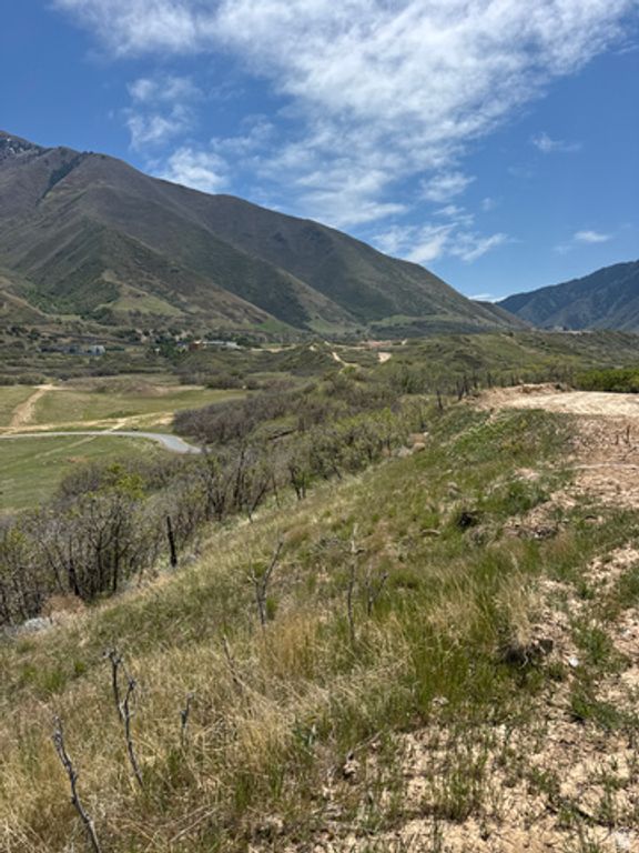 Image 4 of property listing at 586 DIAMOND RIDGE DR, Mapleton, UT 84664