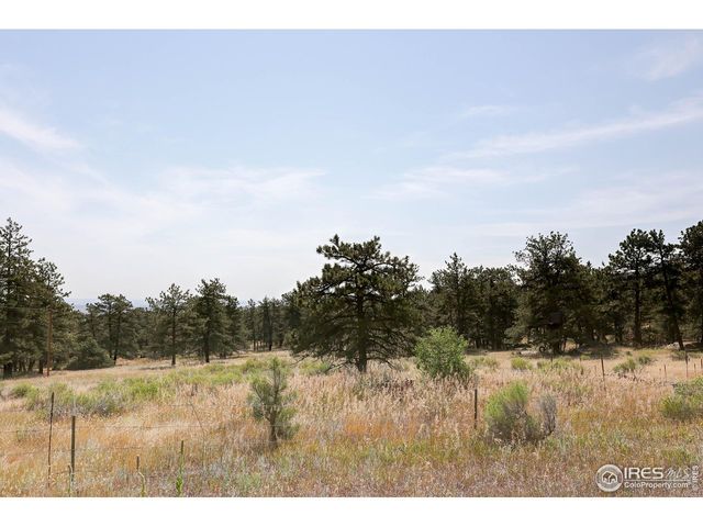10297 Forest View Dr, Loveland, CO 80538