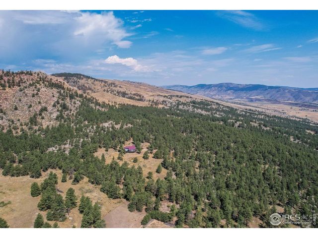 10297 Forest View Dr, Loveland, CO 80538
