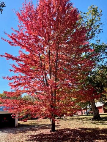 4919 State Route Jj, Summersville, MO 65571