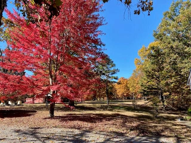 4919 State Route Jj, Summersville, MO 65571