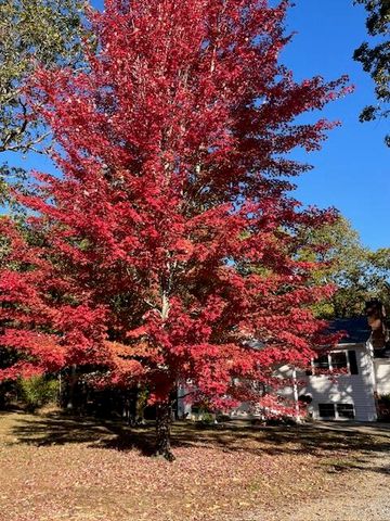 4919 State Route Jj, Summersville, MO 65571