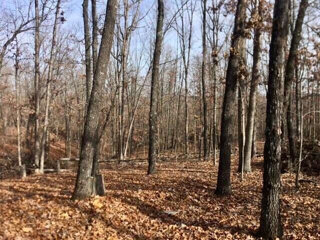 4919 State Route Jj, Summersville, MO 65571