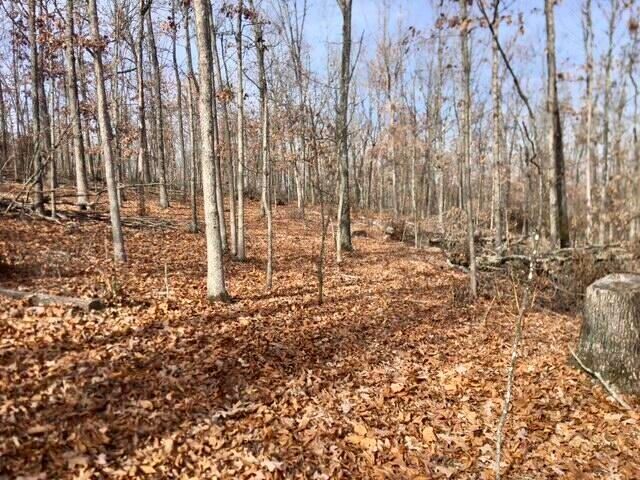 4919 State Route Jj, Summersville, MO 65571