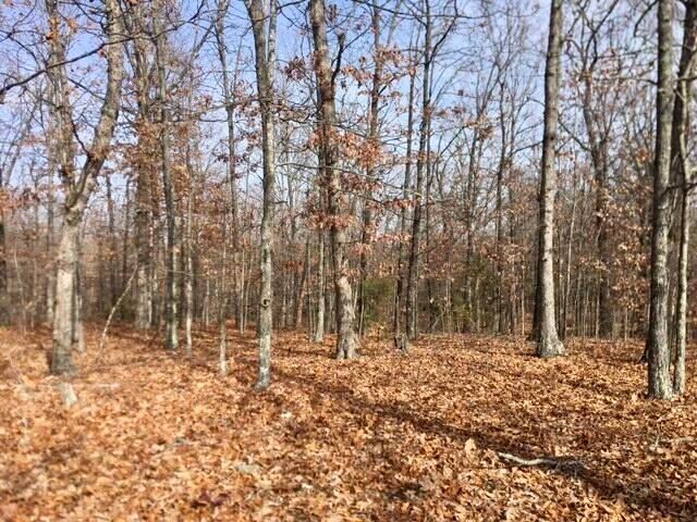 4919 State Route Jj, Summersville, MO 65571