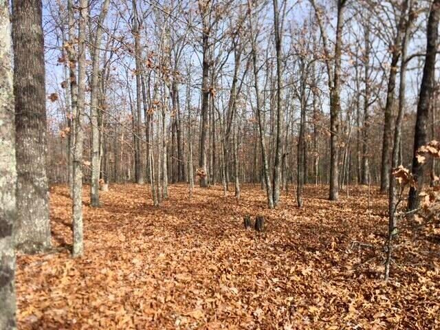 4919 State Route Jj, Summersville, MO 65571