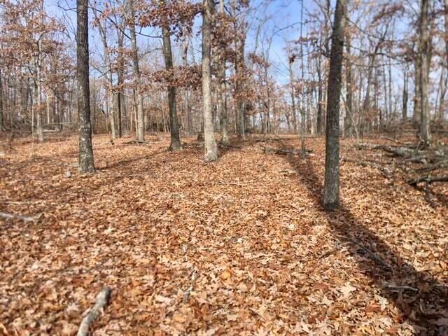 4919 State Route Jj, Summersville, MO 65571