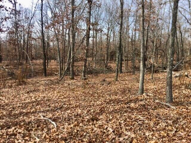 4919 State Route Jj, Summersville, MO 65571