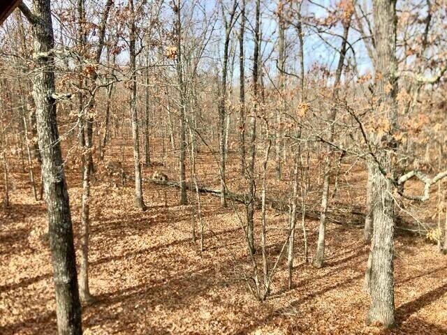 4919 State Route Jj, Summersville, MO 65571