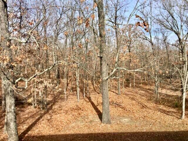 4919 State Route Jj, Summersville, MO 65571