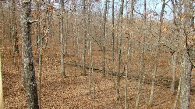 4919 State Route Jj, Summersville, MO 65571