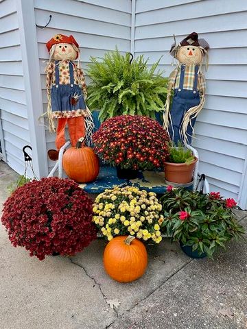 4919 State Route Jj, Summersville, MO 65571