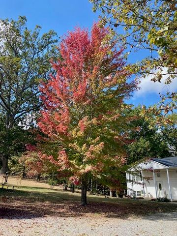 4919 State Route Jj, Summersville, MO 65571