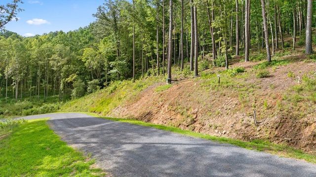 Lot 452 Woodward Way, Talking Rock, GA 30175
