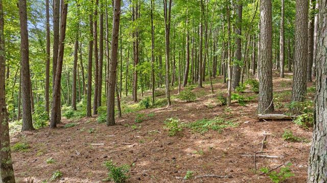 Lot 452 Woodward Way, Talking Rock, GA 30175