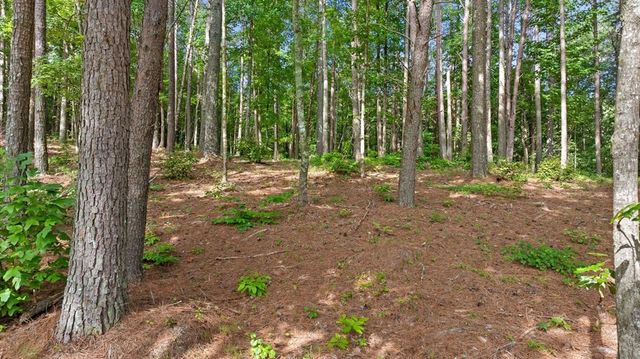 Lot 452 Woodward Way, Talking Rock, GA 30175