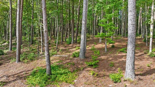 Lot 452 Woodward Way, Talking Rock, GA 30175