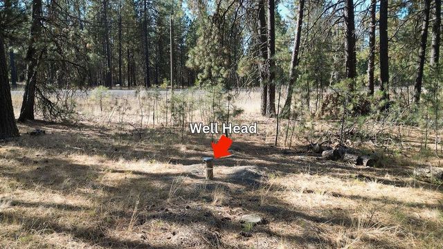1212 S Brooks Rd, Medical Lake, WA 99022
