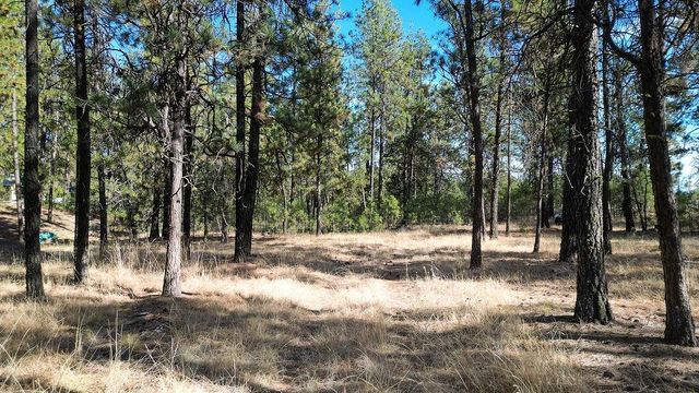 1212 S Brooks Rd, Medical Lake, WA 99022