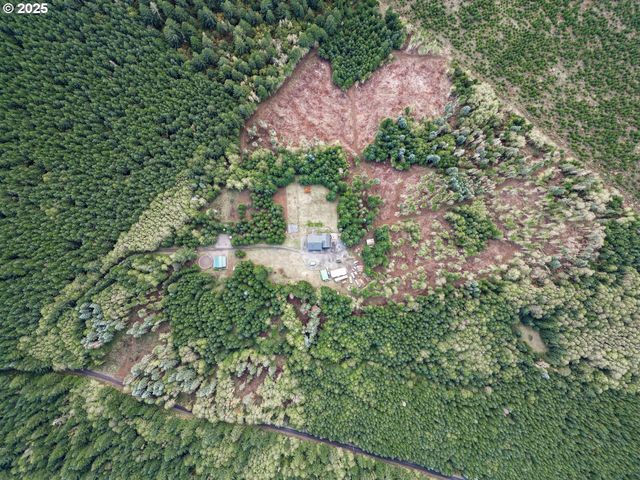 67391 HOLLYWOOD Rd, Deer Island, OR 97054
