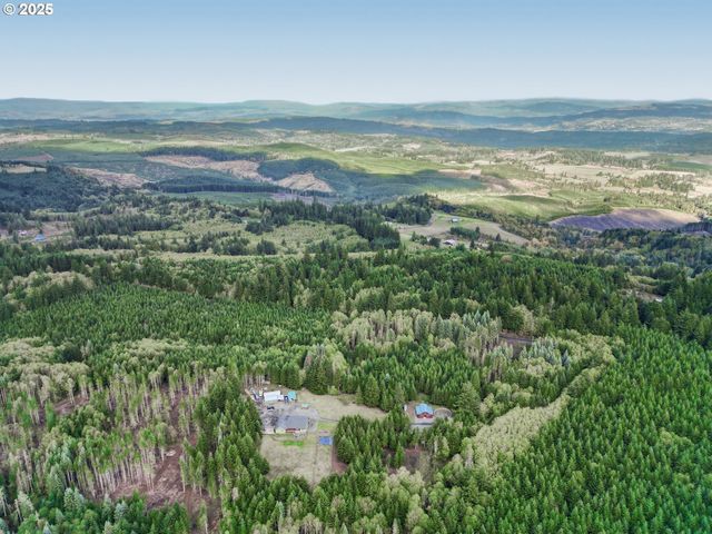 67391 HOLLYWOOD Rd, Deer Island, OR 97054