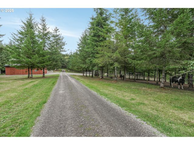 67391 HOLLYWOOD Rd, Deer Island, OR 97054
