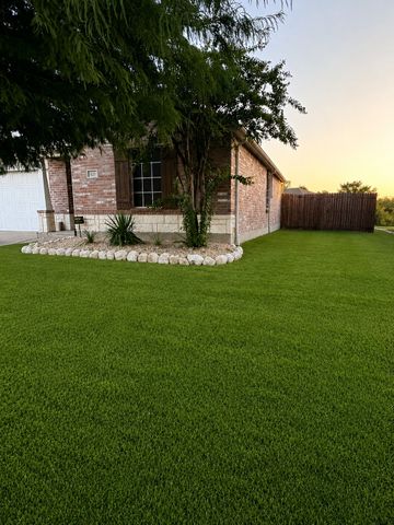 125 Abelia Drive, Fate, TX 75189