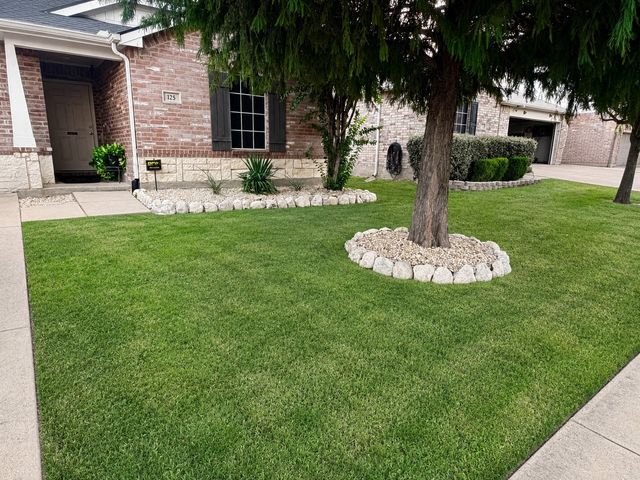 125 Abelia Drive, Fate, TX 75189