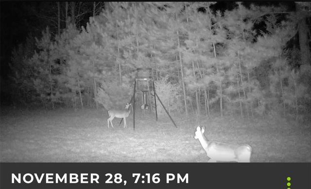 5589 Pr 1580, Centerville, TX 75833