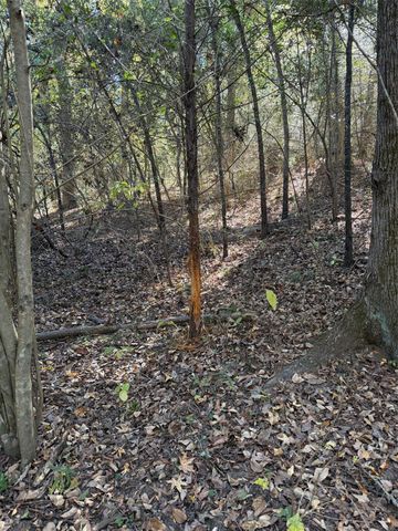 5589 Pr 1580, Centerville, TX 75833