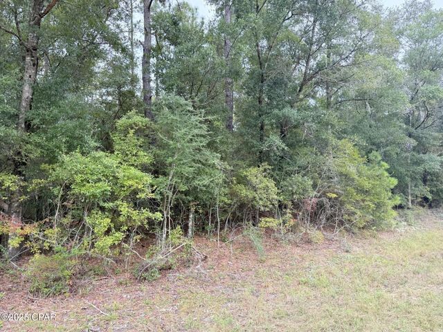 XXX Parkview Drive Lot 13, Chipley, FL 32428