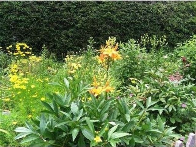 4 Meadow Ln, Walpole, MA 02081